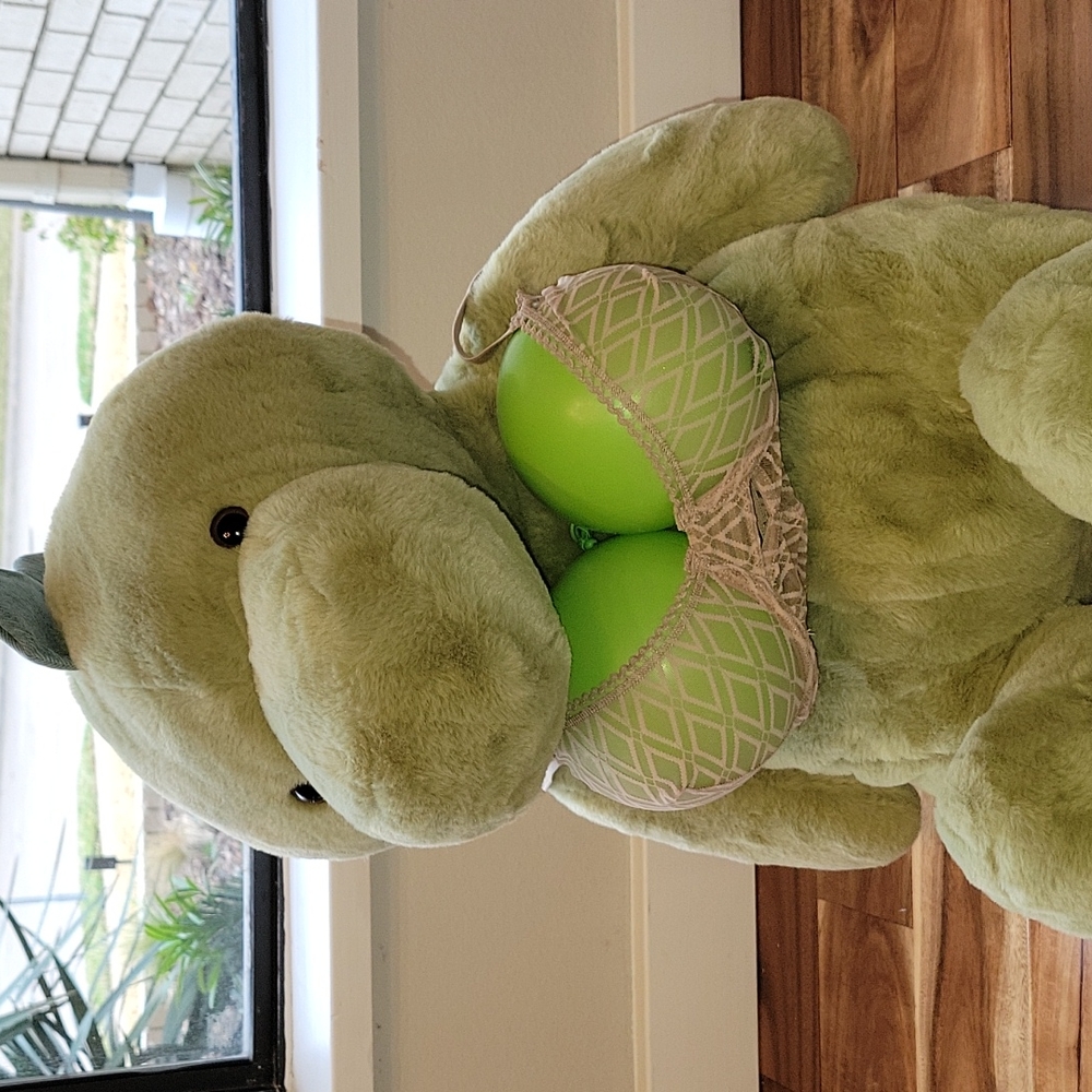 ELSE Lingerie 3 bra bundle!